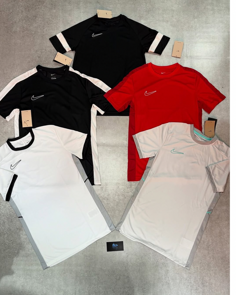 Kit 5 Camisetas NK Dri-Fit 2026